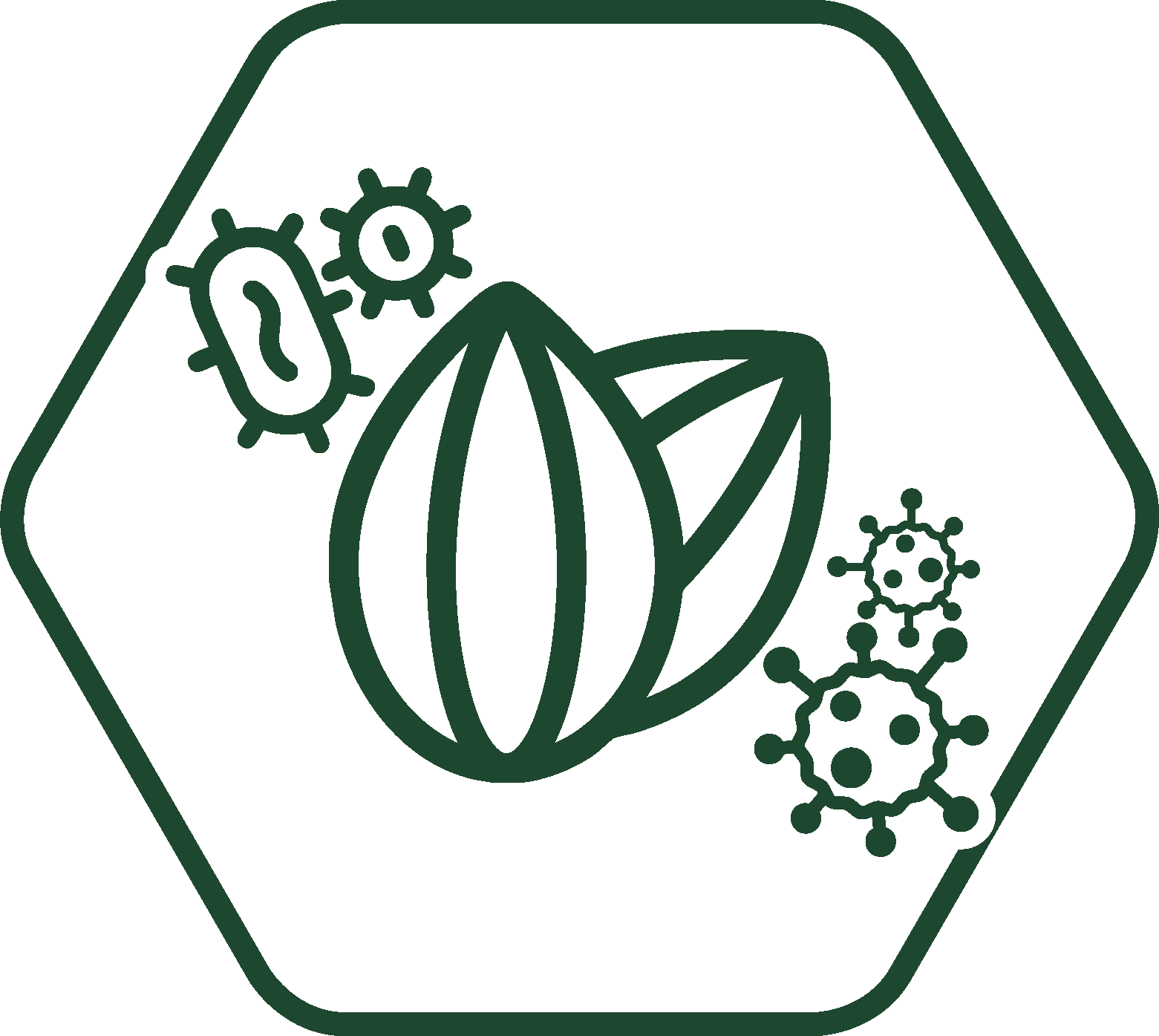 Bagnatura del seme